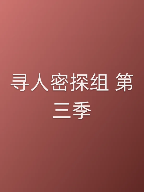 寻人密探组 第三季