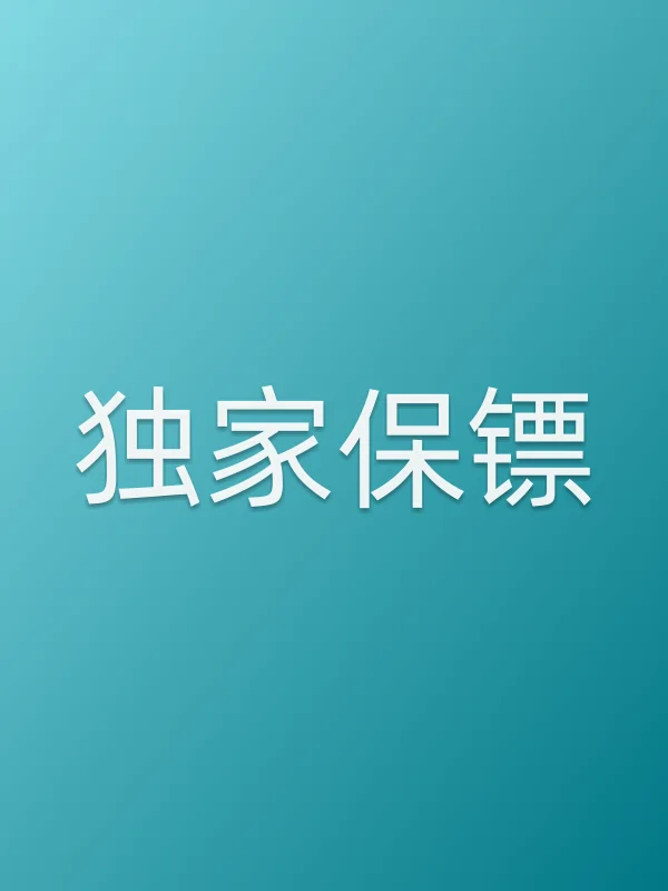 独家保镖