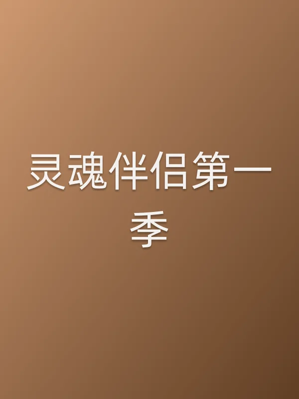 灵魂伴侣第一季