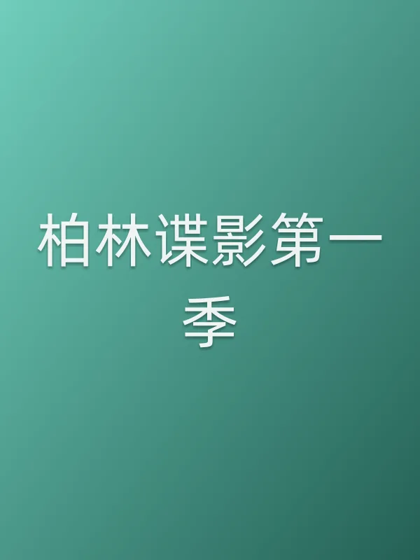 柏林谍影第一季