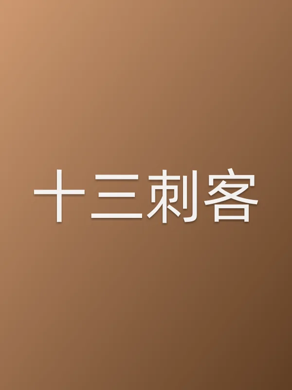 十三刺客