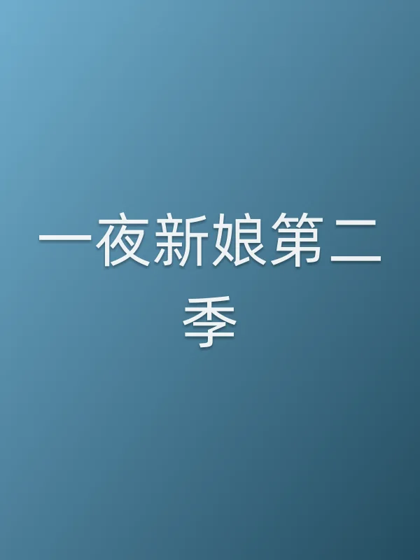 《一夜新娘第二季电视剧