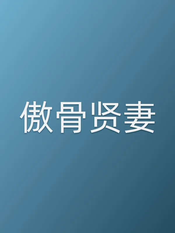《傲骨贤妻电视剧