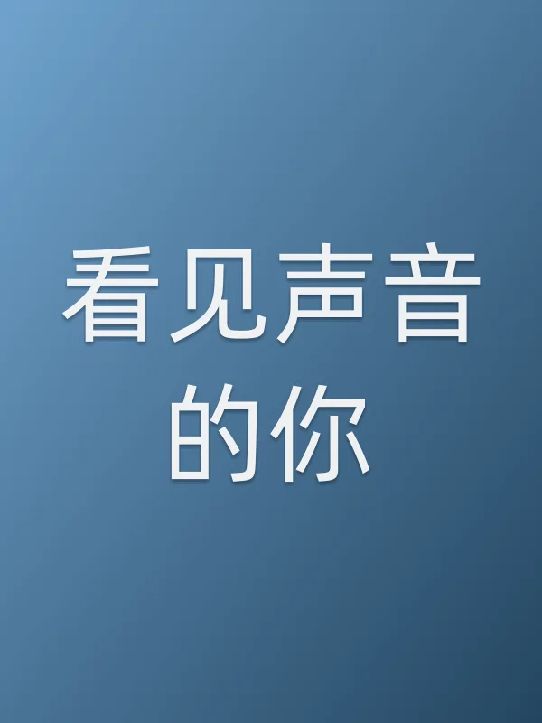 《看见声音的你电视剧
