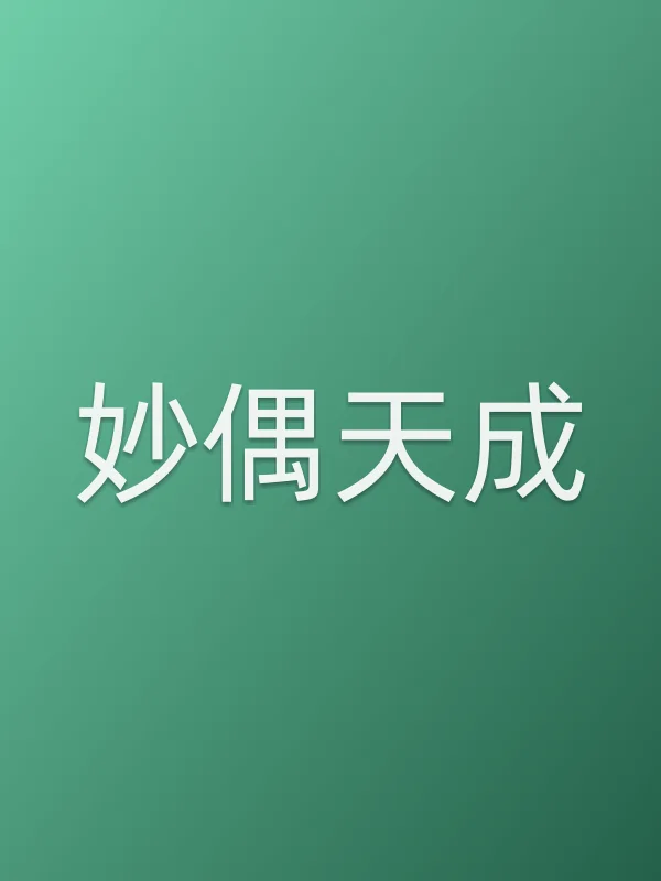 《妙偶天成电视剧