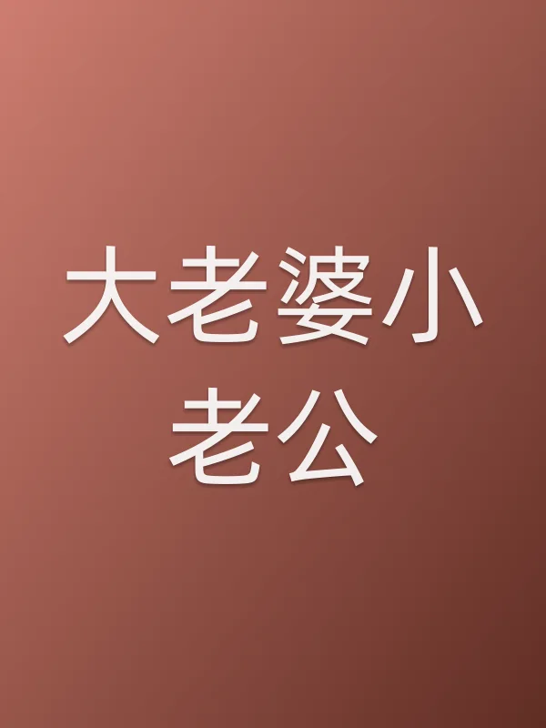 《大老婆小老公电视剧