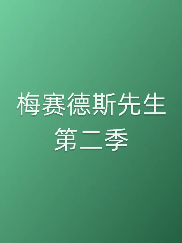 梅赛德斯先生第二季