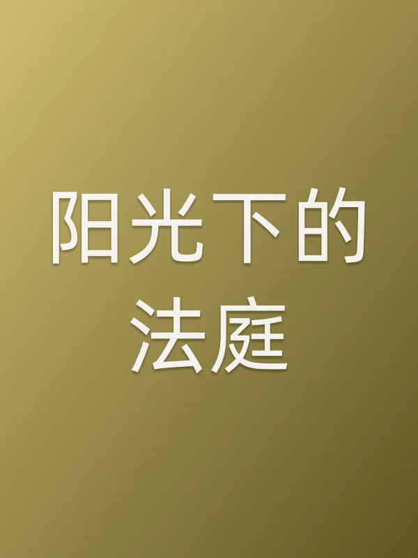 《阳光下的法庭电视剧