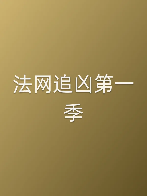 法网追凶第一季