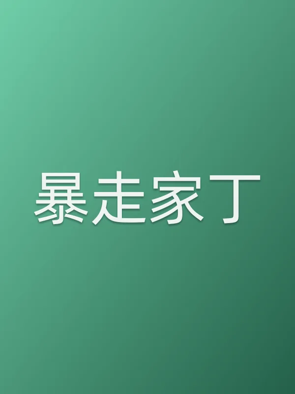 暴走家丁