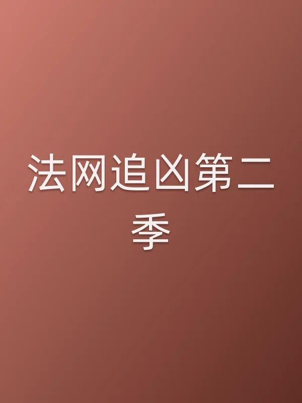 法网追凶第二季