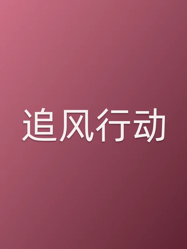 《追风行动电视剧