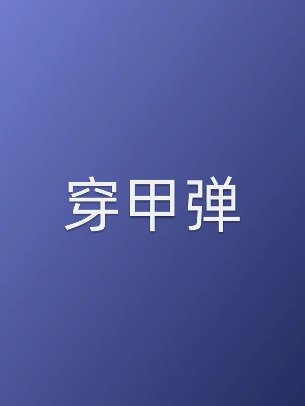 《穿甲弹电视剧