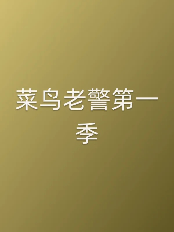 菜鸟老警第一季