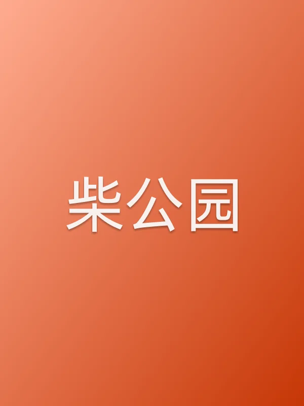 《柴公园电视剧