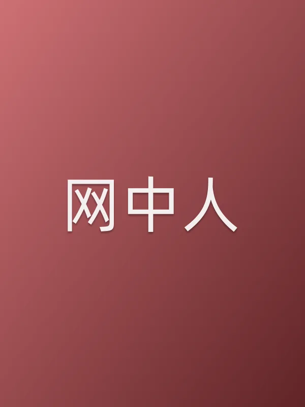 《网中人电视剧