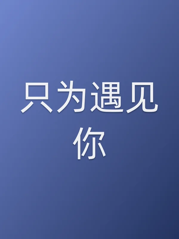 《只为遇见你电视剧