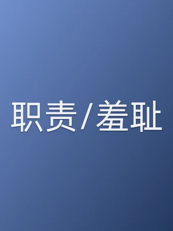 《职责/羞耻电视剧