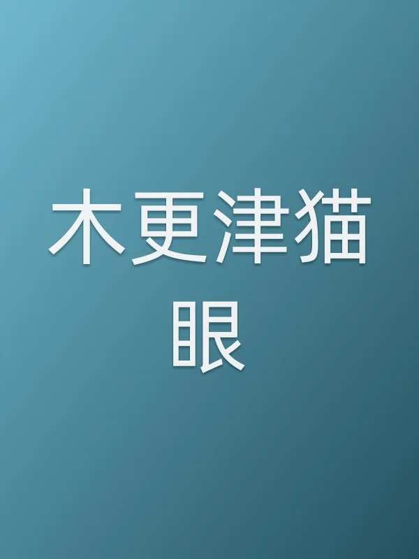 《木更津猫眼》电视剧