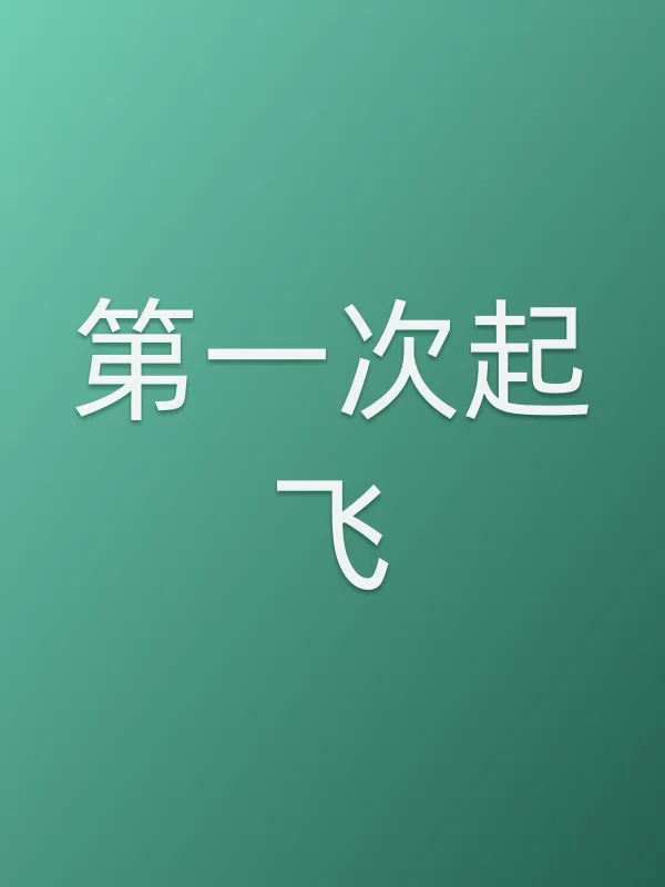 第一次起飞