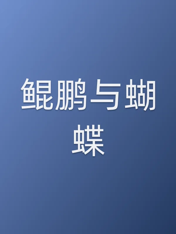 鲲鹏与蝴蝶