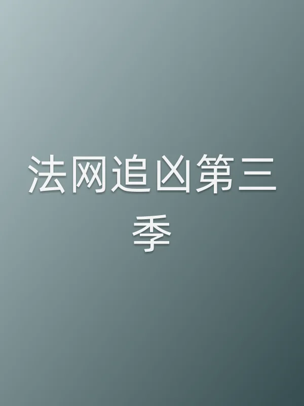 法网追凶第三季
