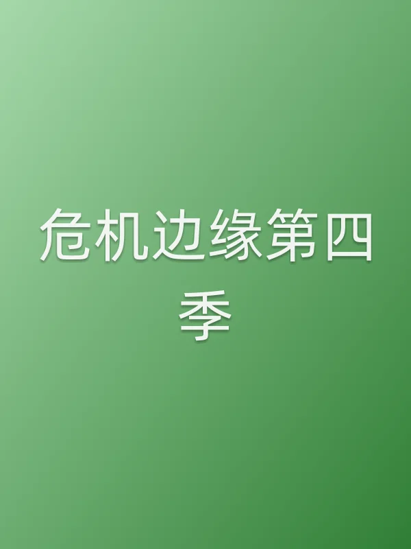 危机边缘第四季