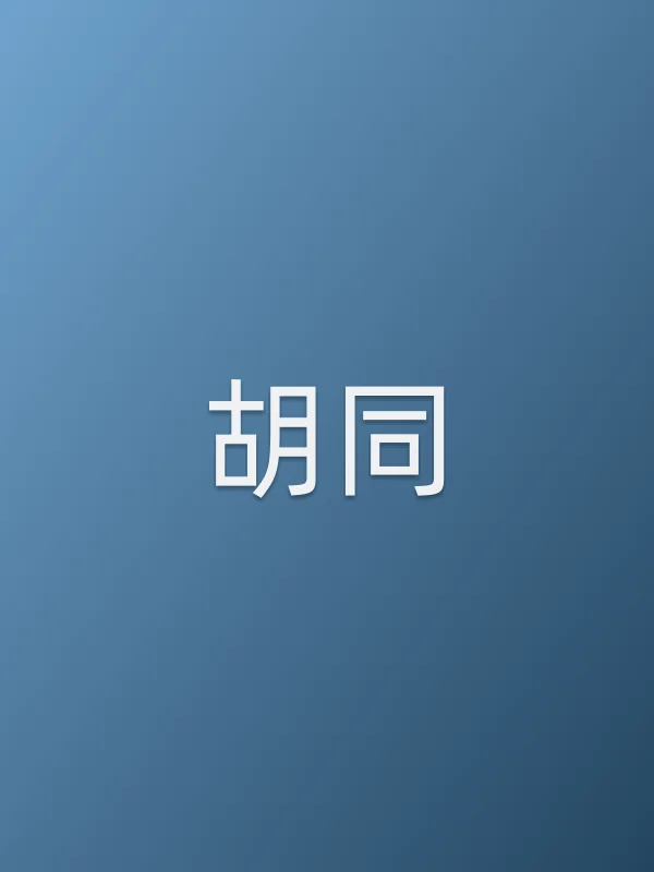 《胡同电视剧
