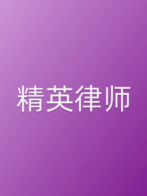 《精英律师电视剧