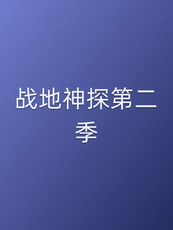 战地神探第二季