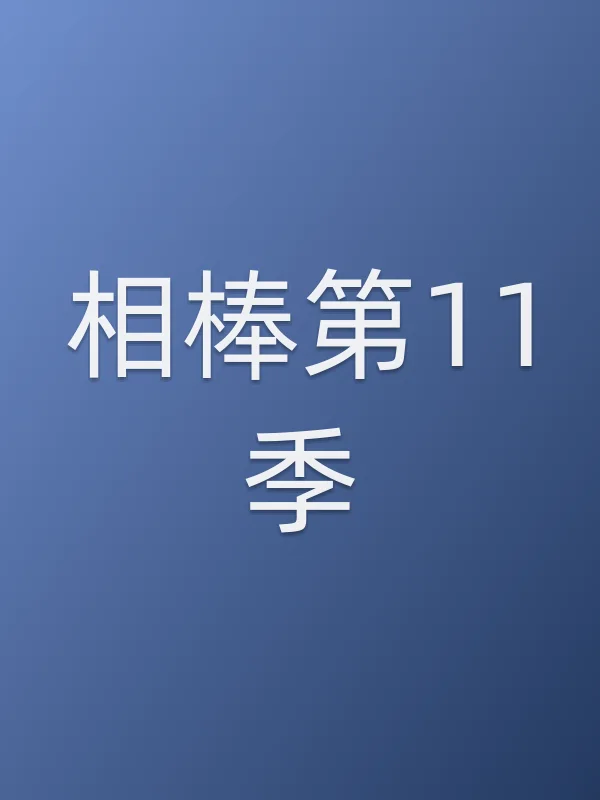 《相棒第11季电视剧