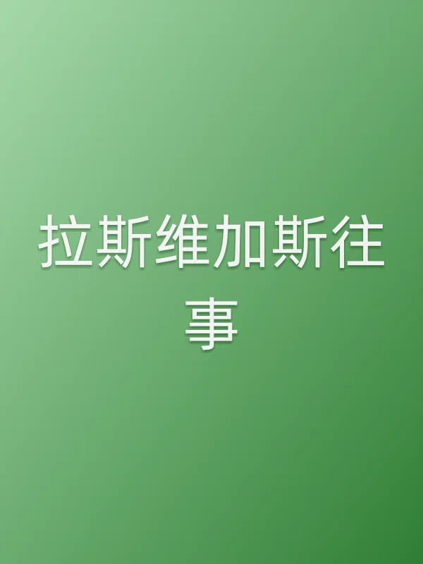 拉斯维加斯往事