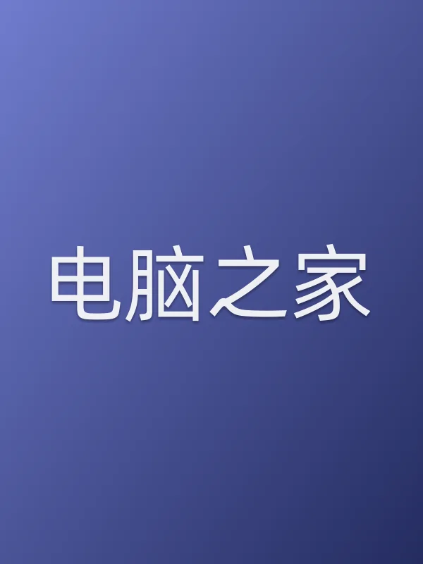 电脑之家