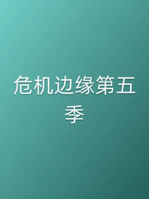 危机边缘第五季