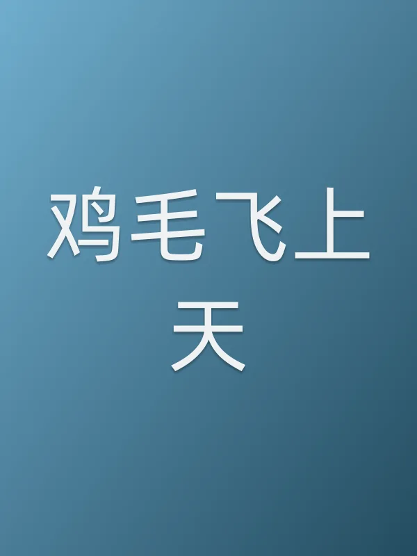 《鸡毛飞上天电视剧