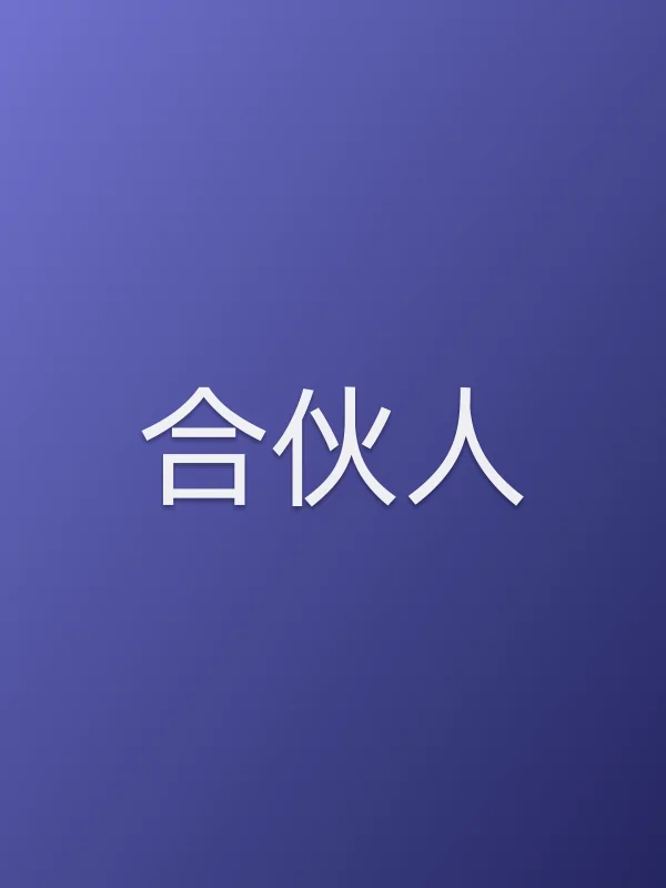 《合伙人电视剧