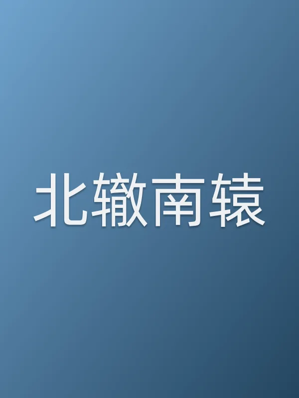 《北辙南辕电视剧