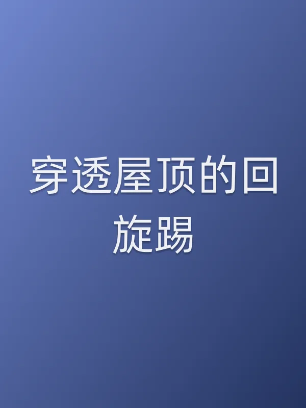 《穿透屋顶的回旋踢电视剧