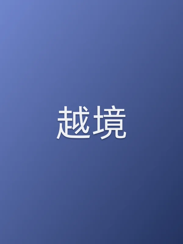 《越境》电视剧