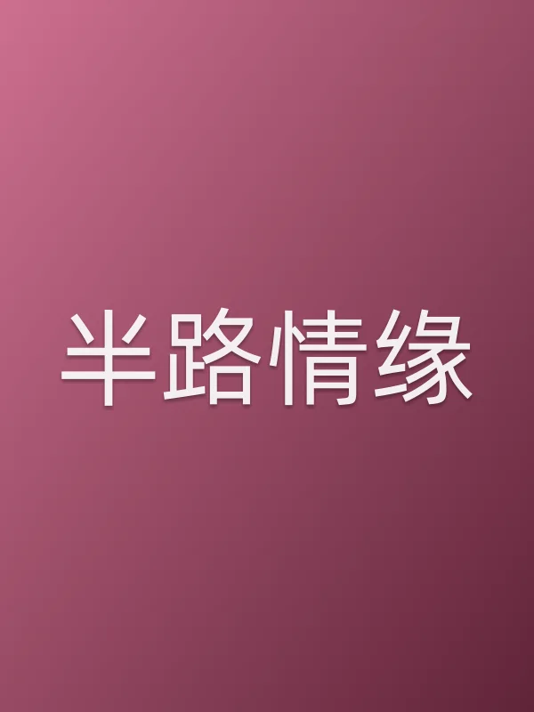 半路情缘