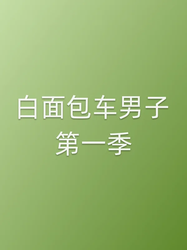 白面包车男子第一季