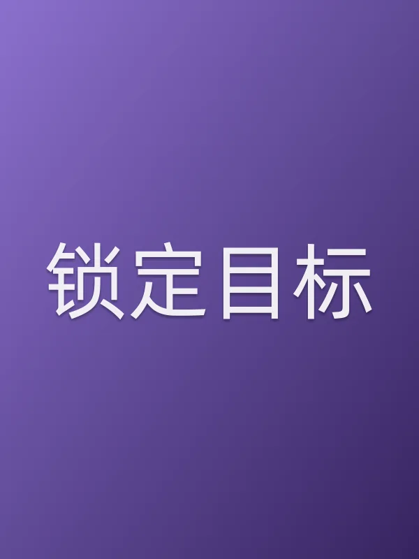 《锁定目标电视剧