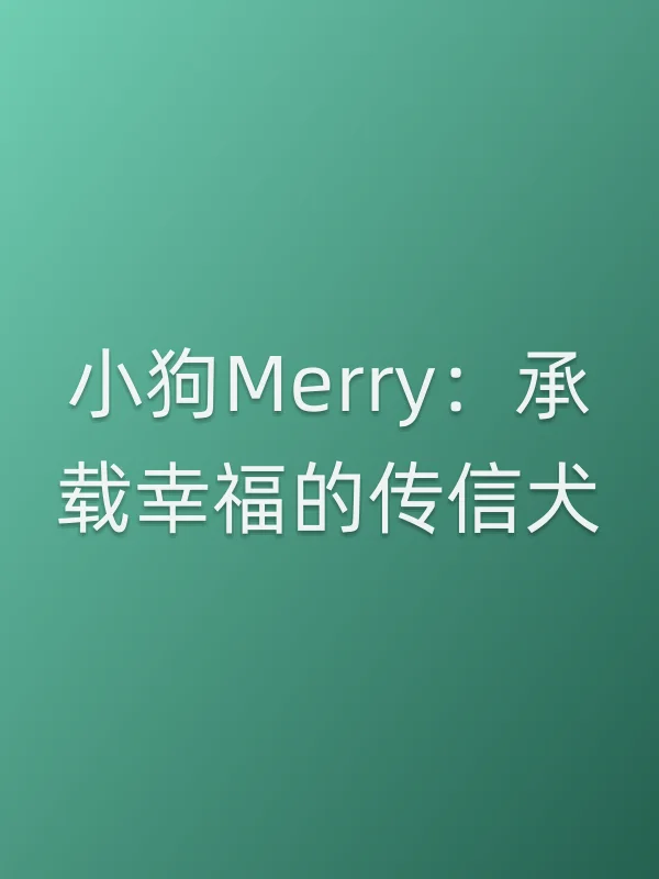 小狗Merry:承载幸福的传信犬