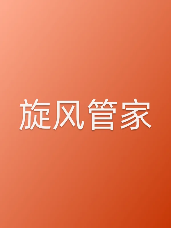 《旋风管家电视剧