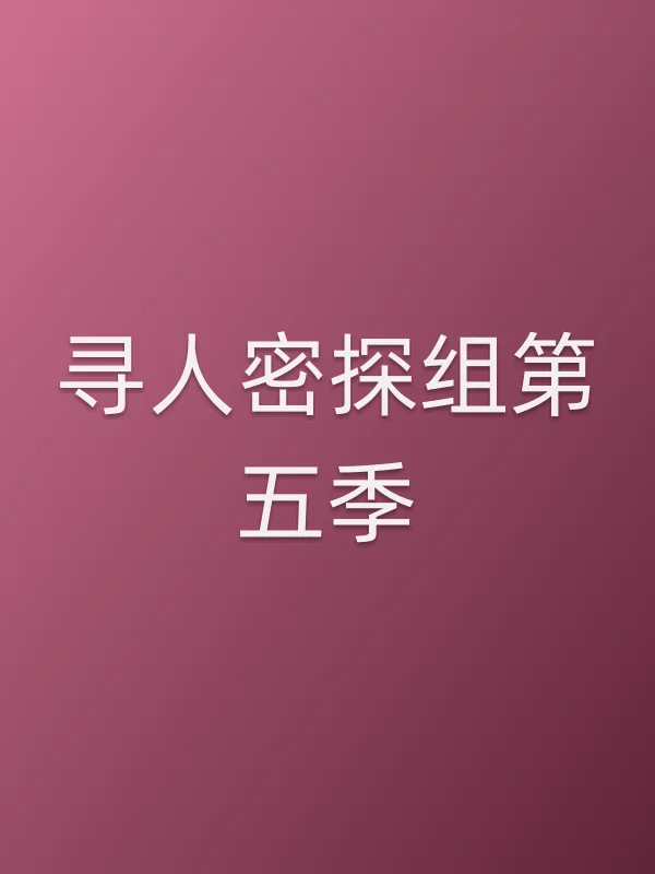寻人密探组第五季