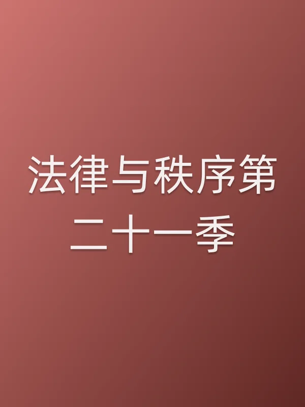 法律与秩序第■■一季