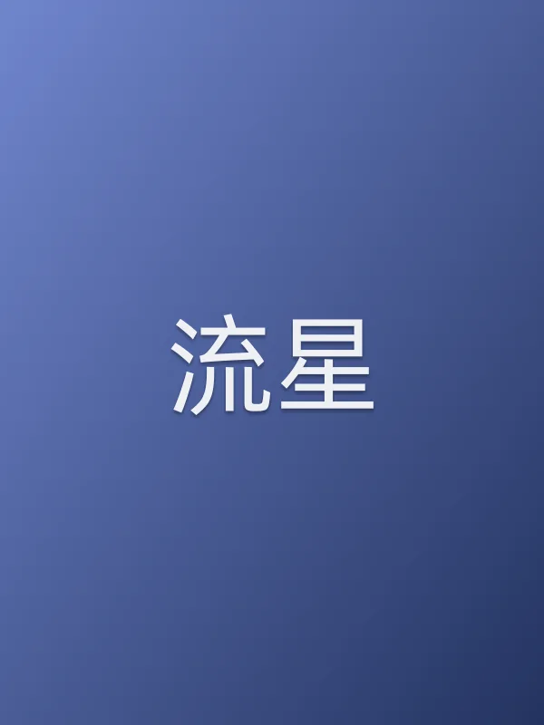 《流星电视剧