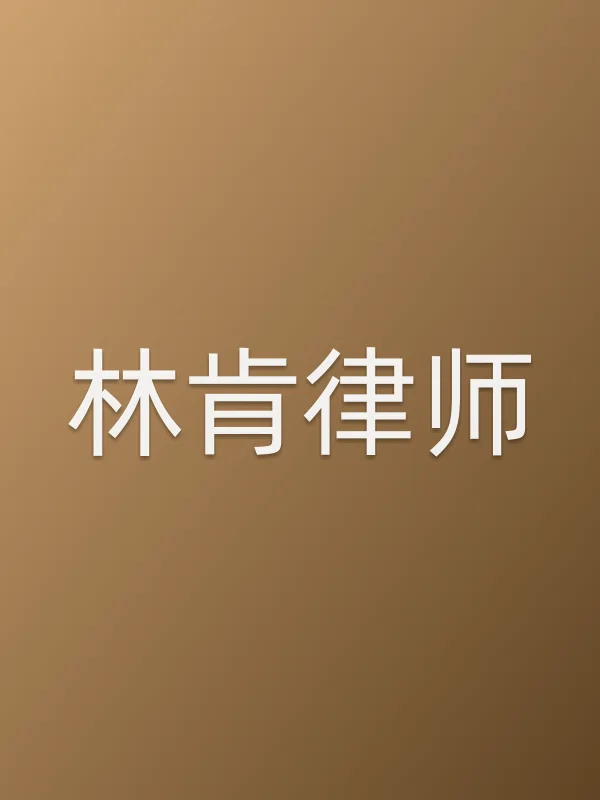 林肯律师
