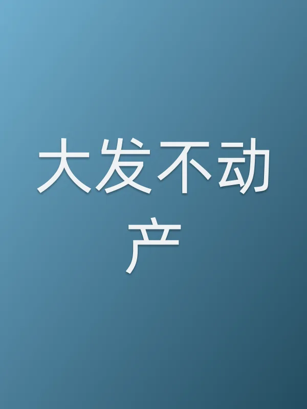《大发不动产电视剧