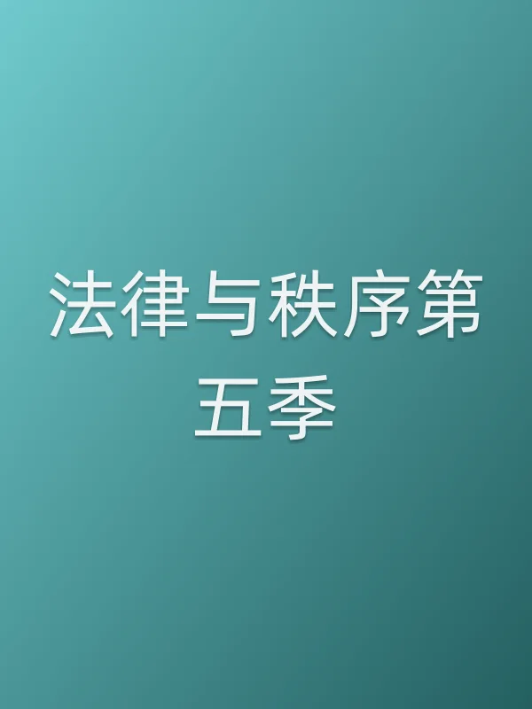 法律与秩序第五季